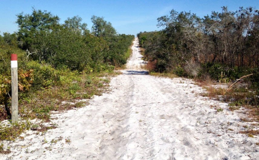 Allen David Broussard Catfish Creek Preserve State Park, Florida, USA